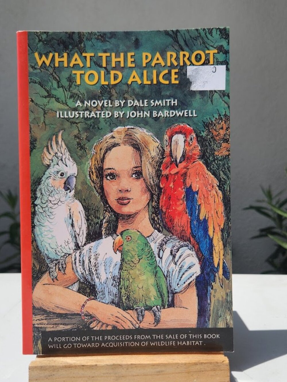 What the Parrot Told Alice Paperback Book by Dale Smith Young Adult Reading Mate